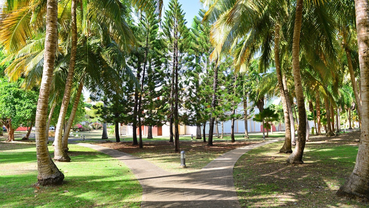 Photo of Outdoor in Anse des Rochers