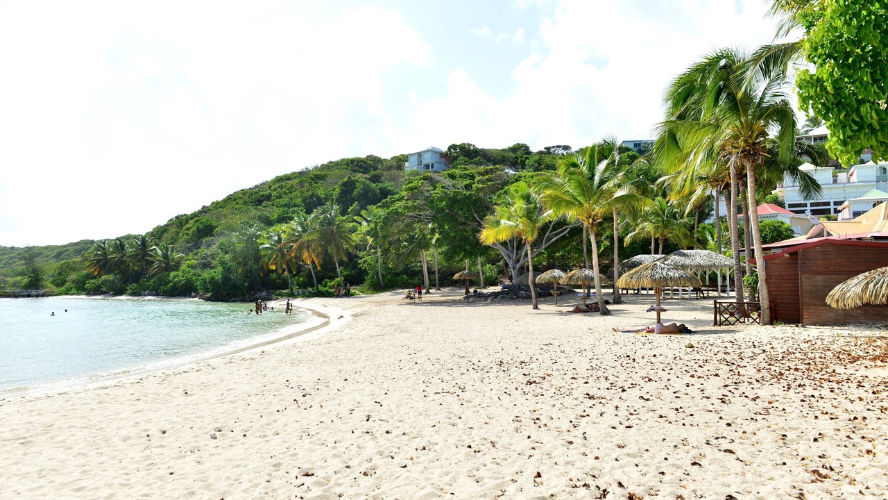 Photo of Others in Anse des Rochers
