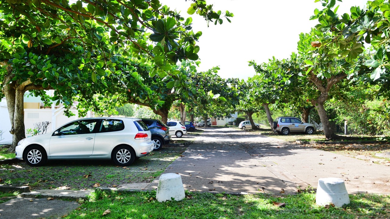 Photo of Outdoor in Anse des Rochers
