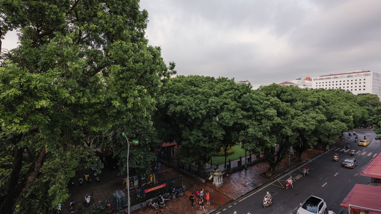 Photo of Others in Van Mieu