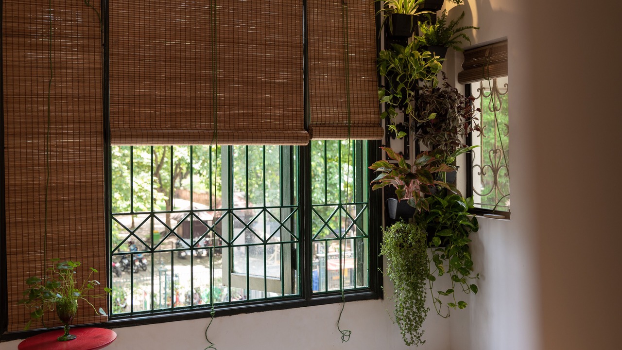Photo of Outdoor in Van Mieu