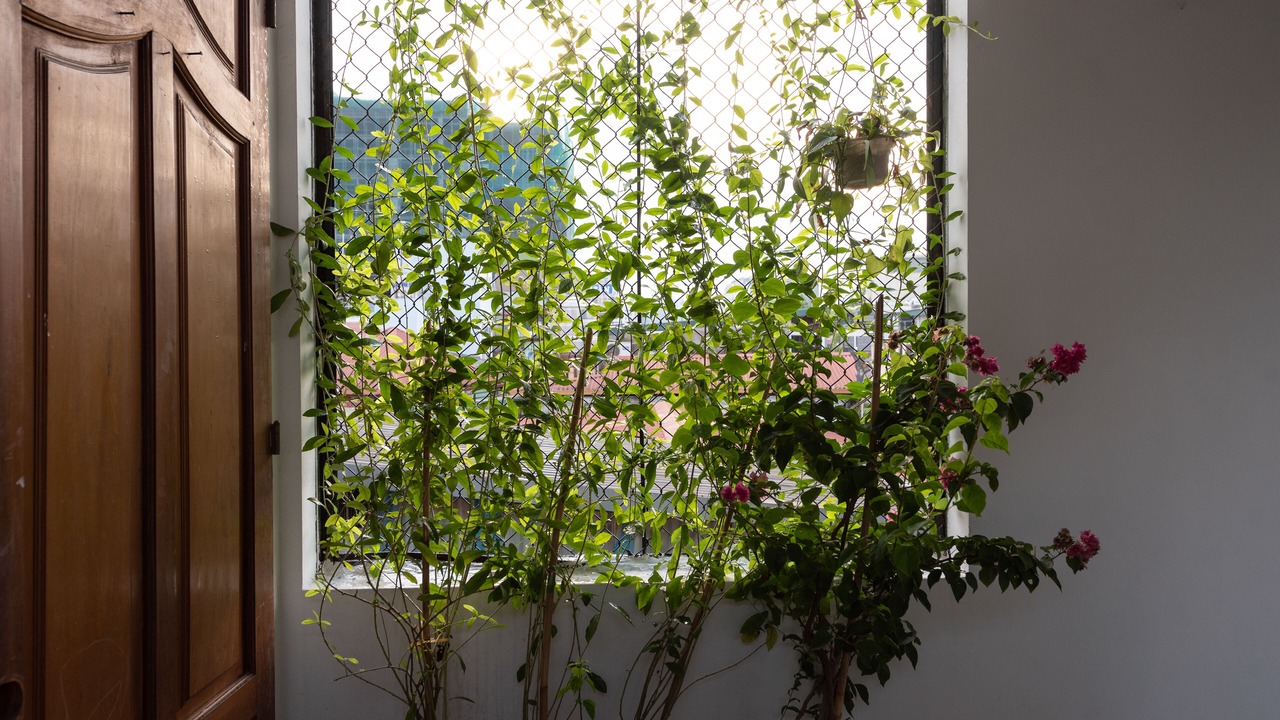Photo of Outdoor in Van Mieu