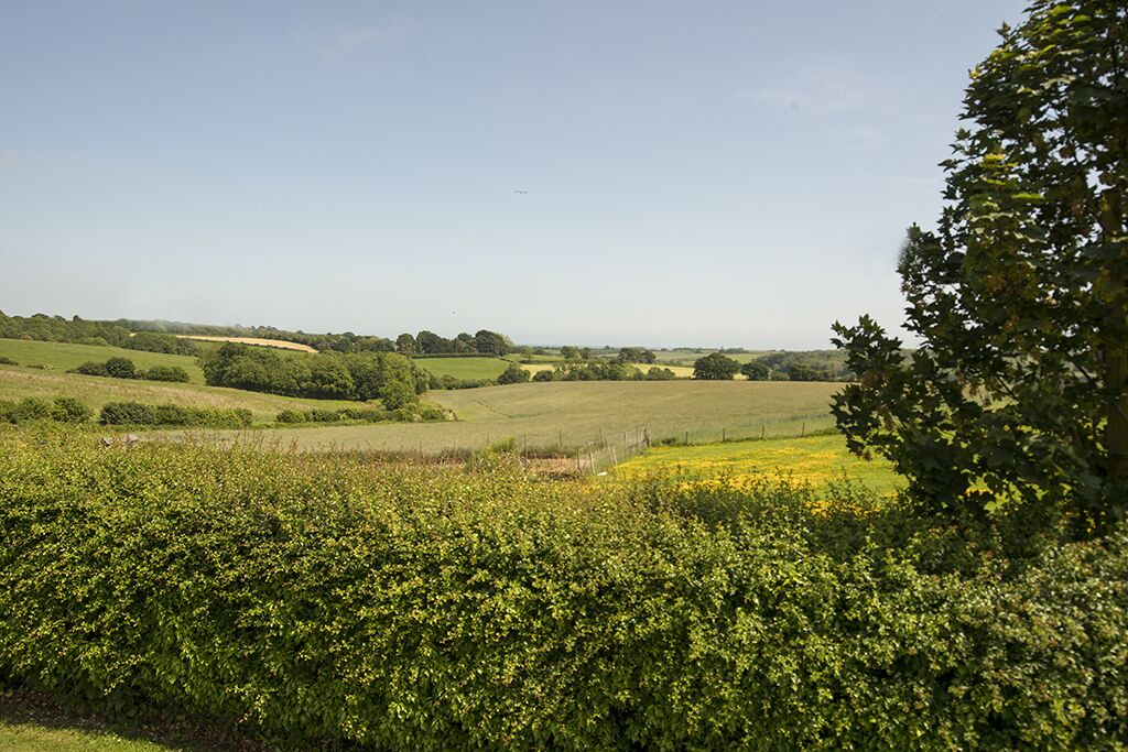 Photo of Others in Winchelsea