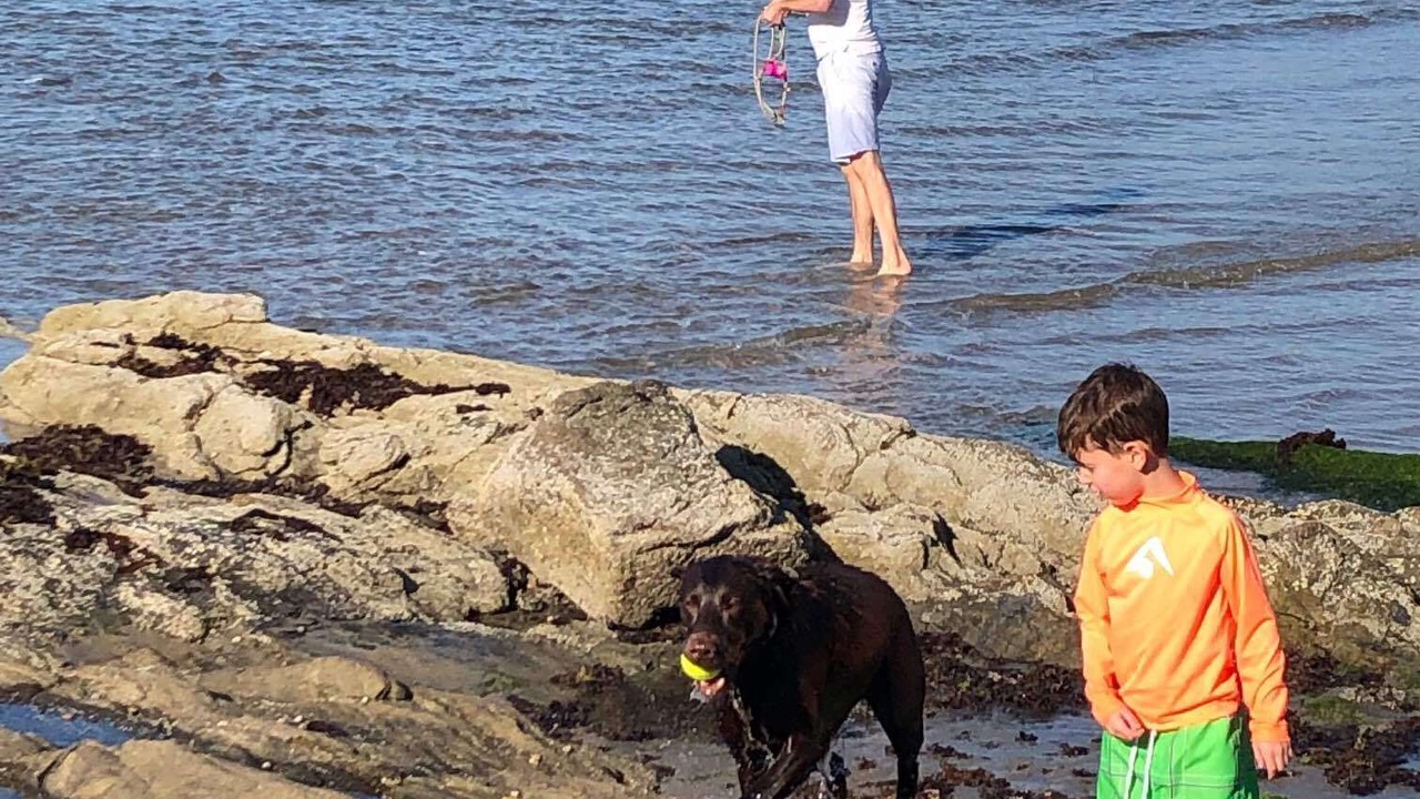 Photo of Others in Bonnet Shores