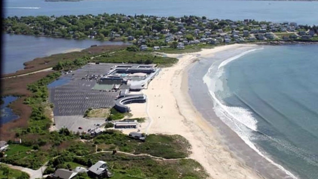 Photo of Others in Bonnet Shores