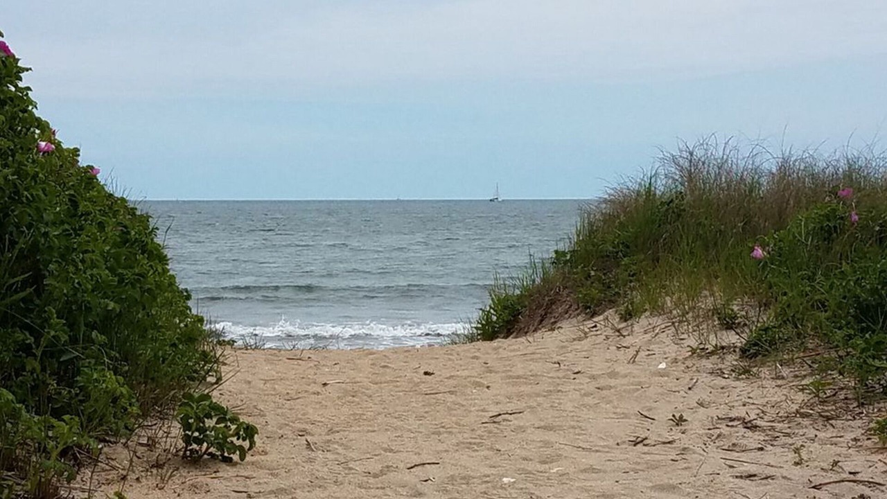 Photo of Others in Bonnet Shores