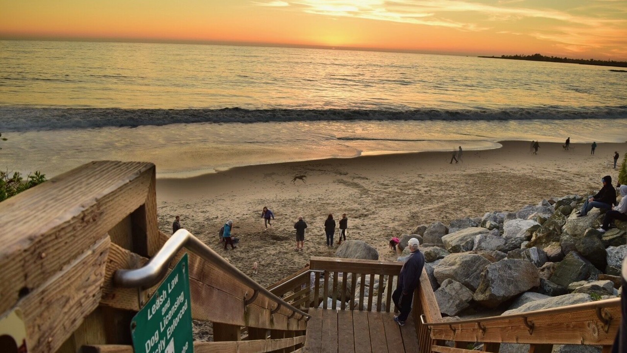 Photo of Others in Opal Cliffs