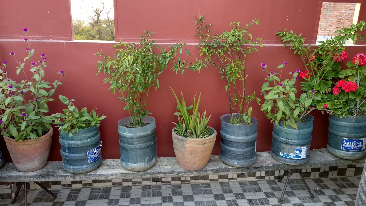 Photo of Outdoor in Thimi