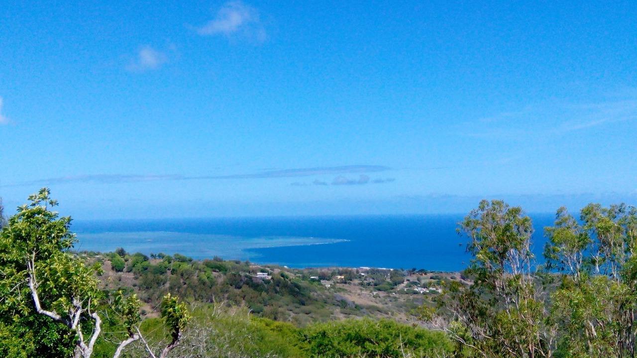 Photo of Others in Rodrigues Island