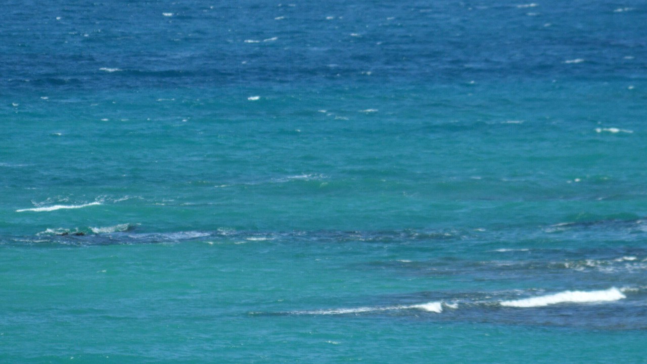 Photo of Others in Vilomar