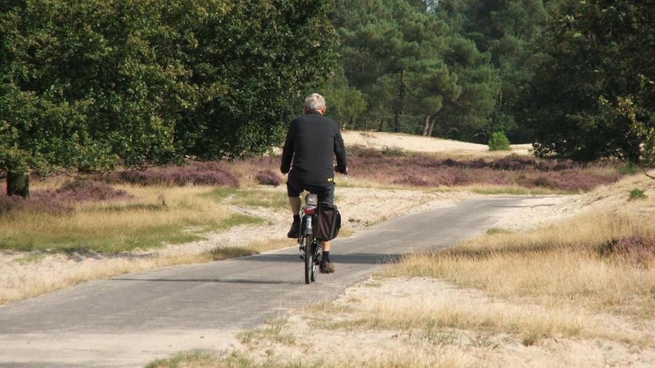 Photo of Others in Udenhout
