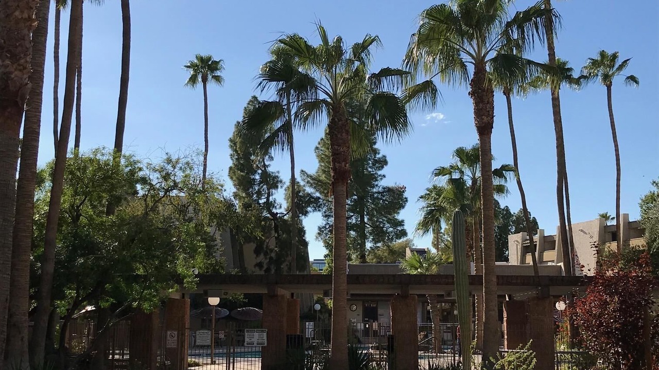 Photo of Outdoor in South Scottsdale
