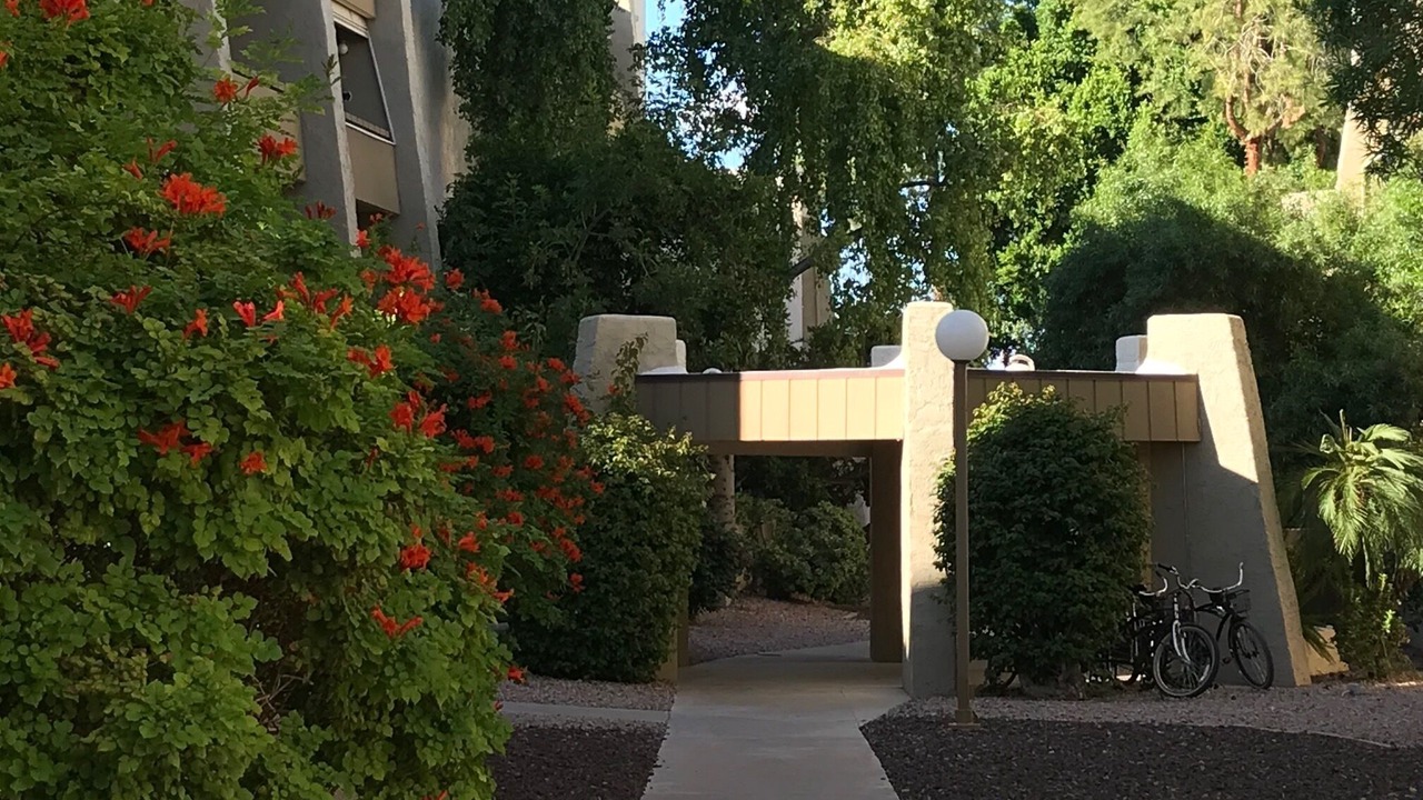 Photo of Outdoor in South Scottsdale