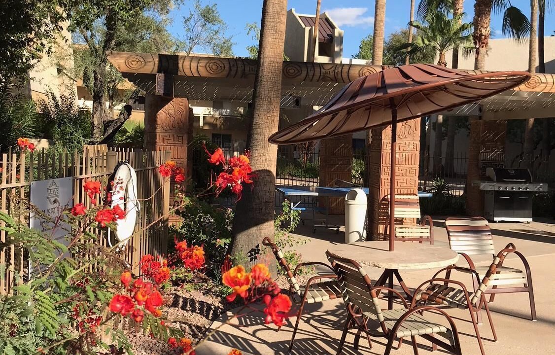 Photo of Outdoor in South Scottsdale
