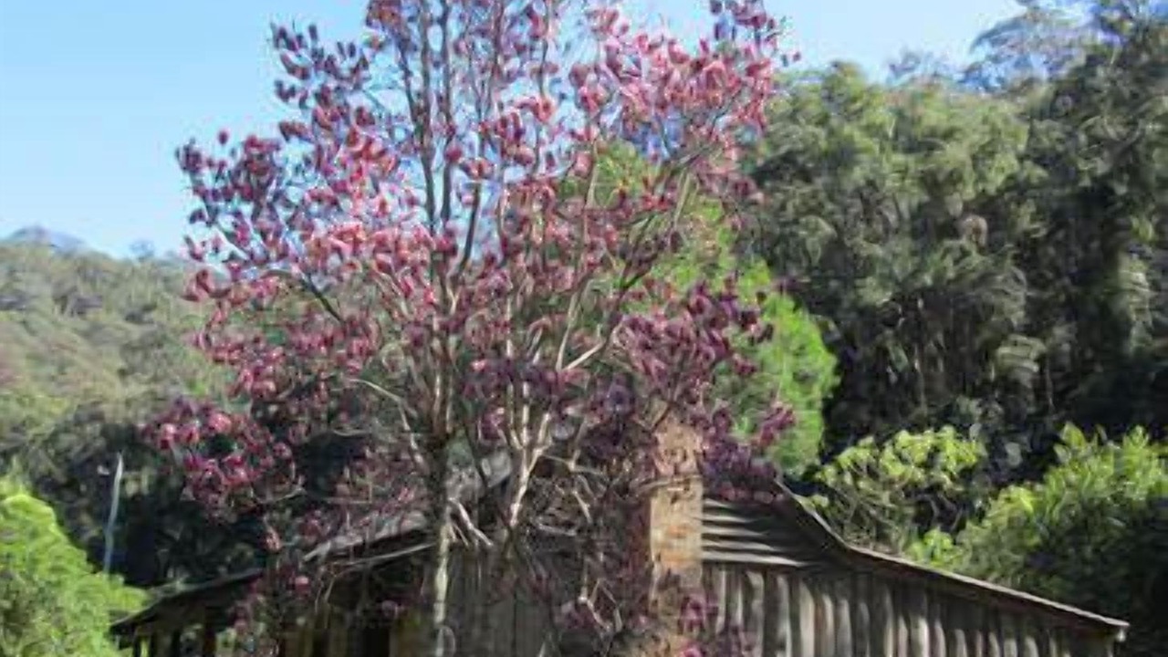 Photo of Others in Grose Vale
