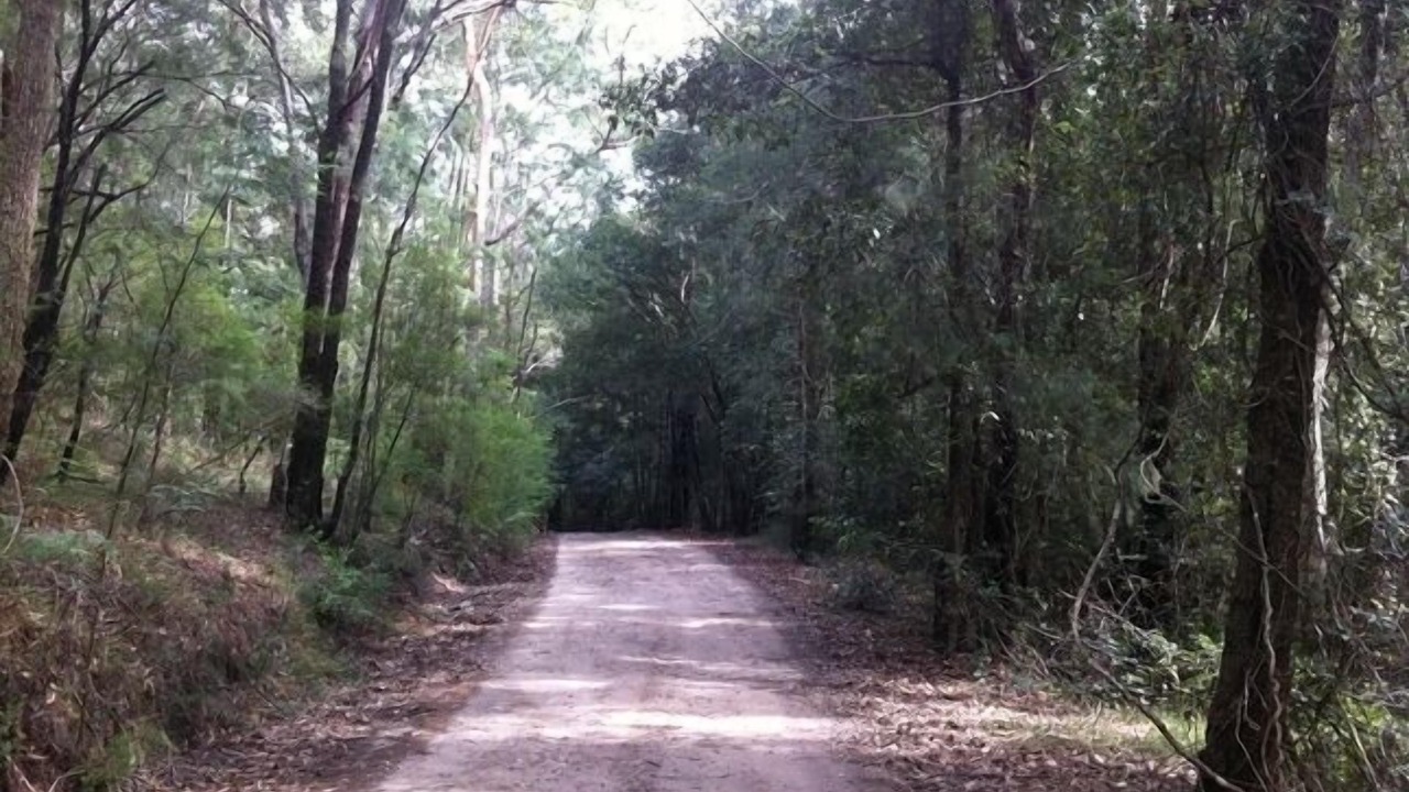 Photo of Others in Grose Vale