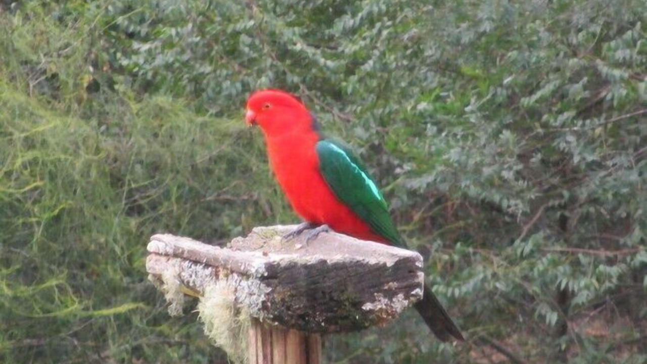Photo of Others in Grose Vale