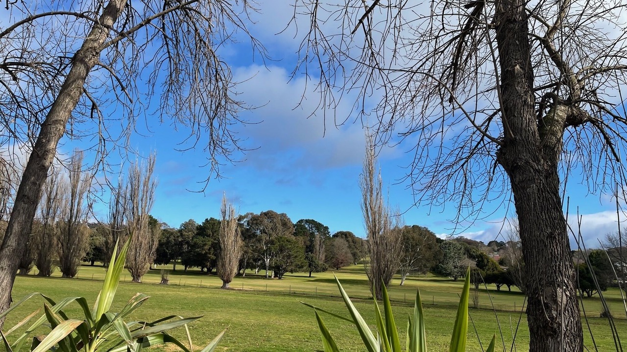 Photo of Others in Yass