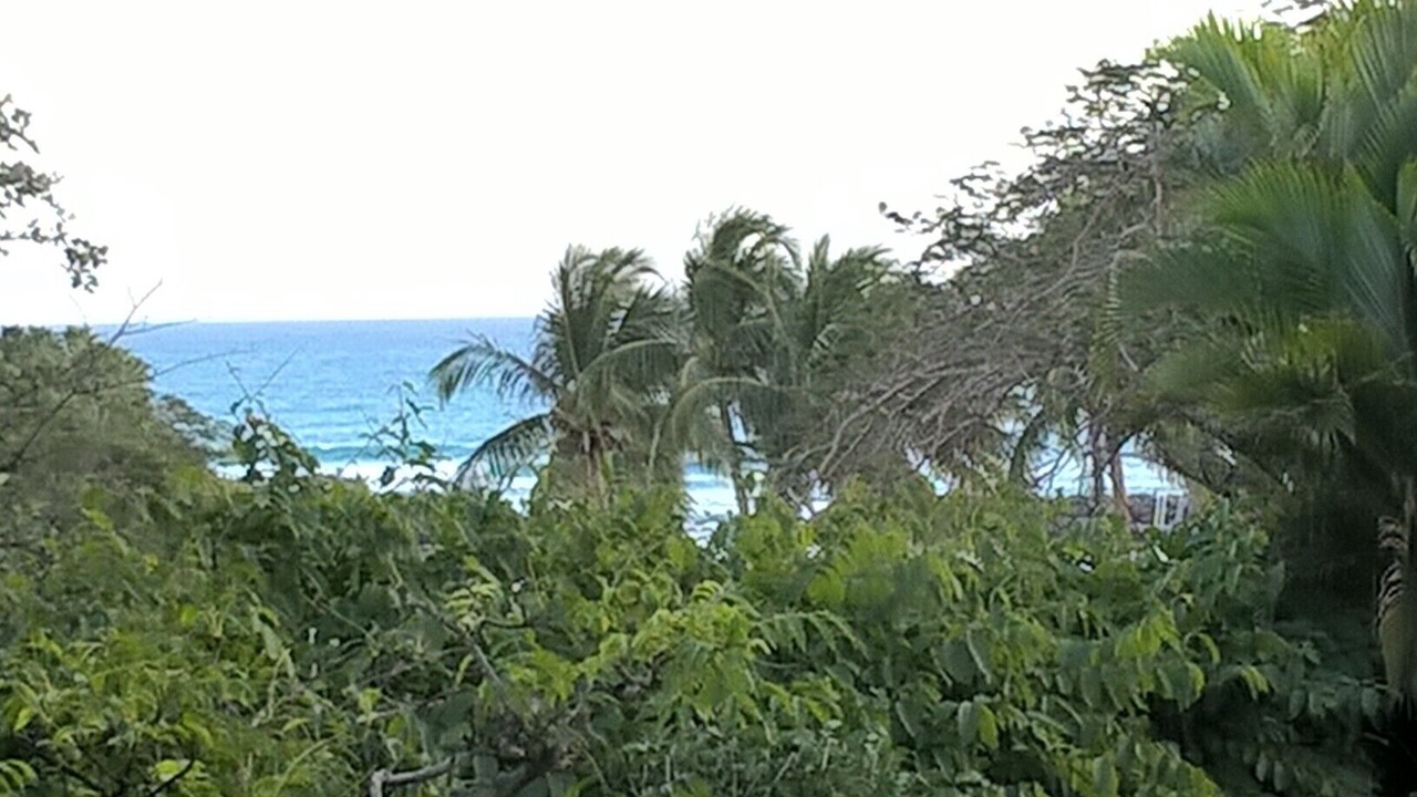 Photo of Outdoor in Le Gosier