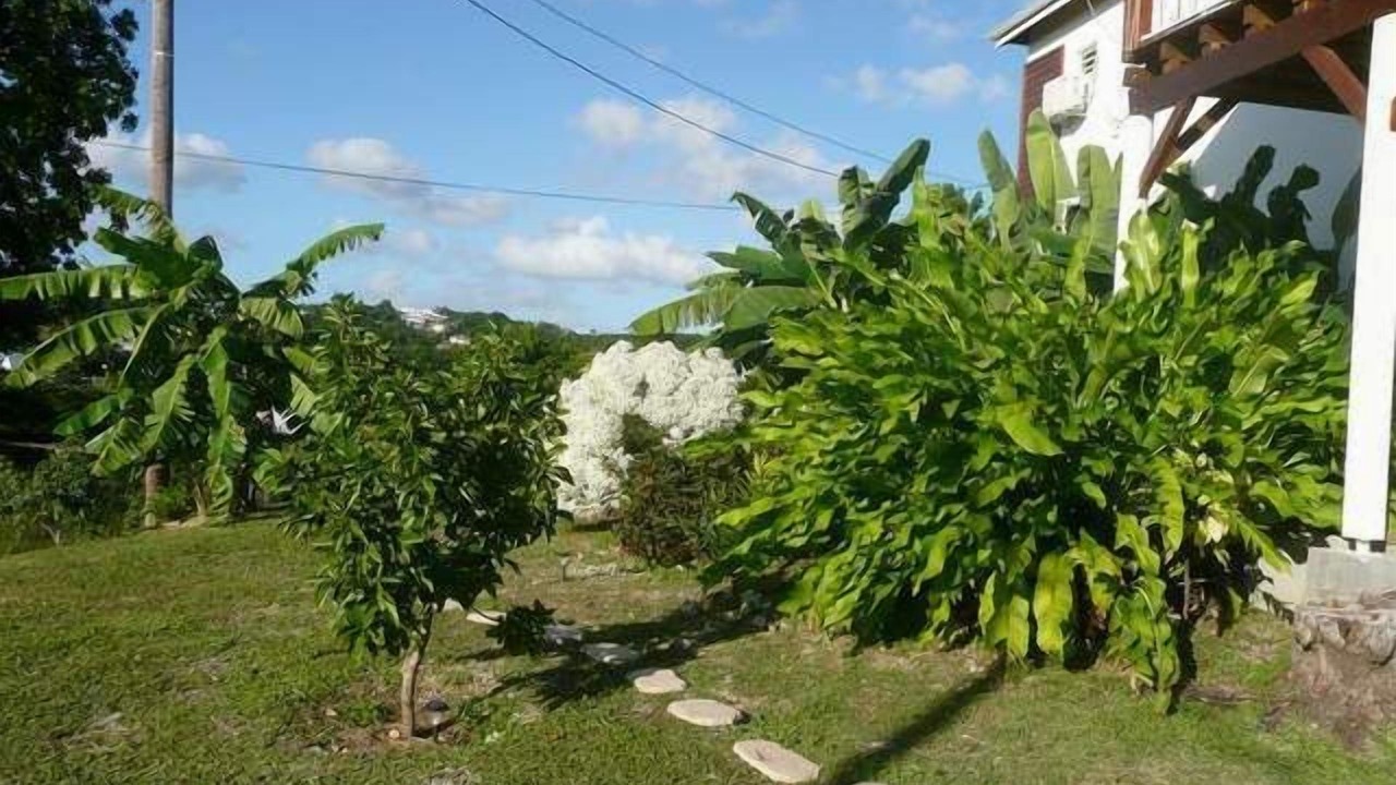 Photo of Outdoor in Le Gosier