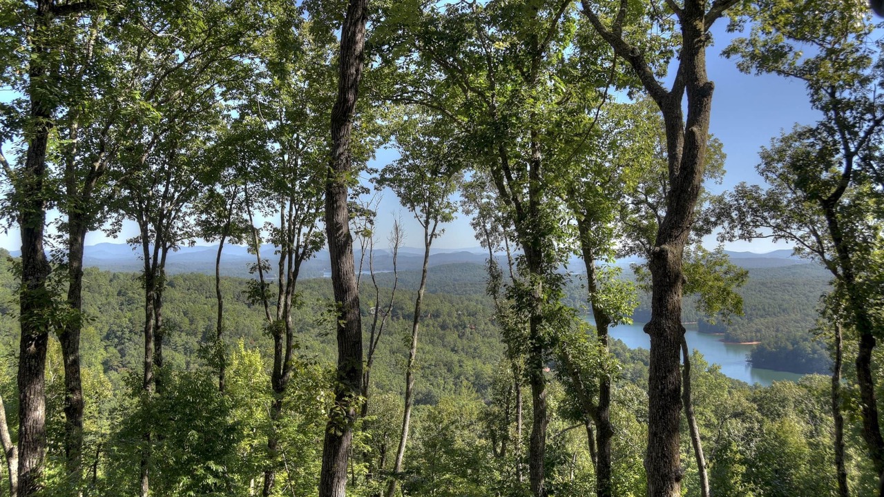 Photo of Outdoor in Necowa Cove