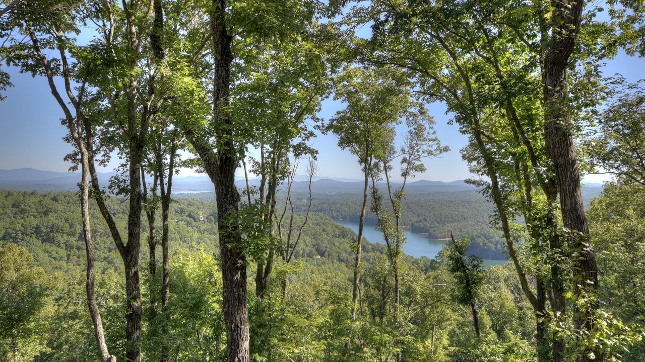 Photo of Outdoor in Necowa Cove