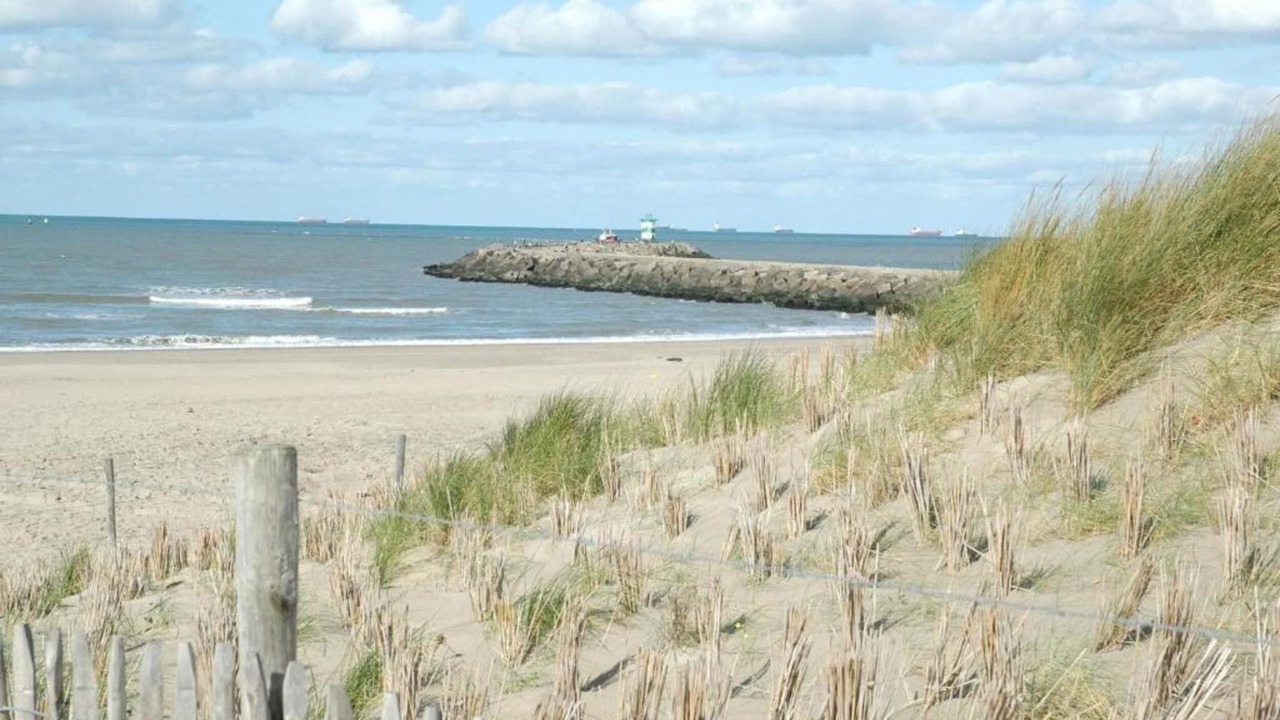 Photo of Others in Vissershaven