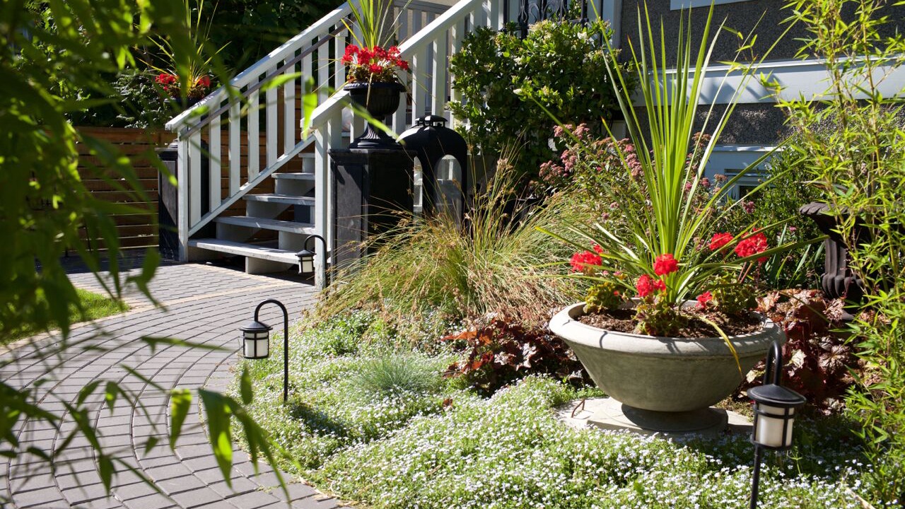 Photo of Outdoor in Kitsilano
