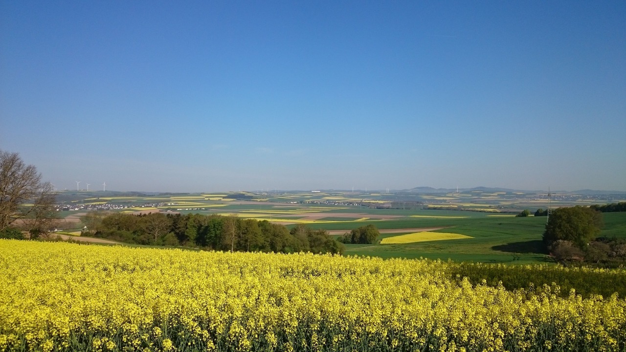 Photo of Outdoor in Wierschem