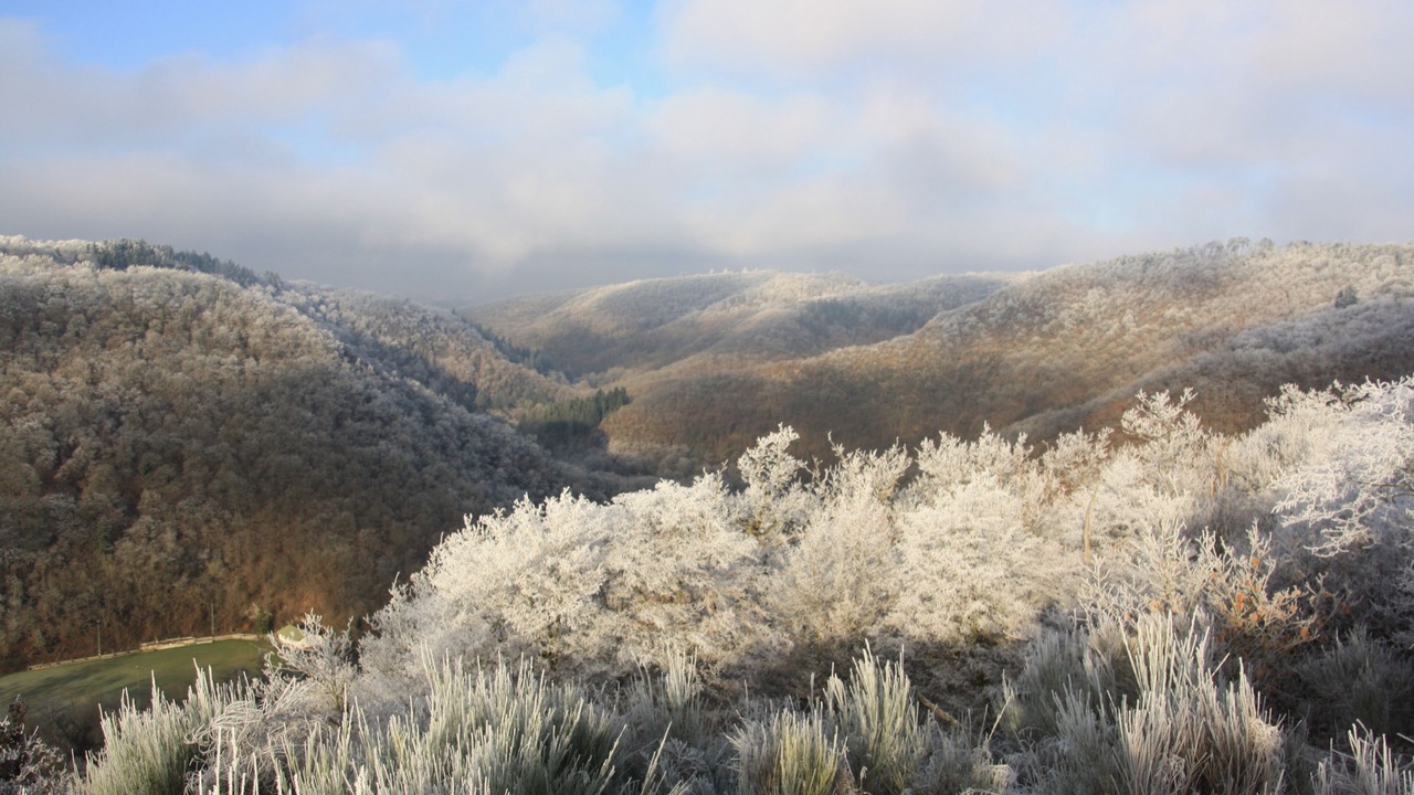 Photo of Outdoor in Wierschem