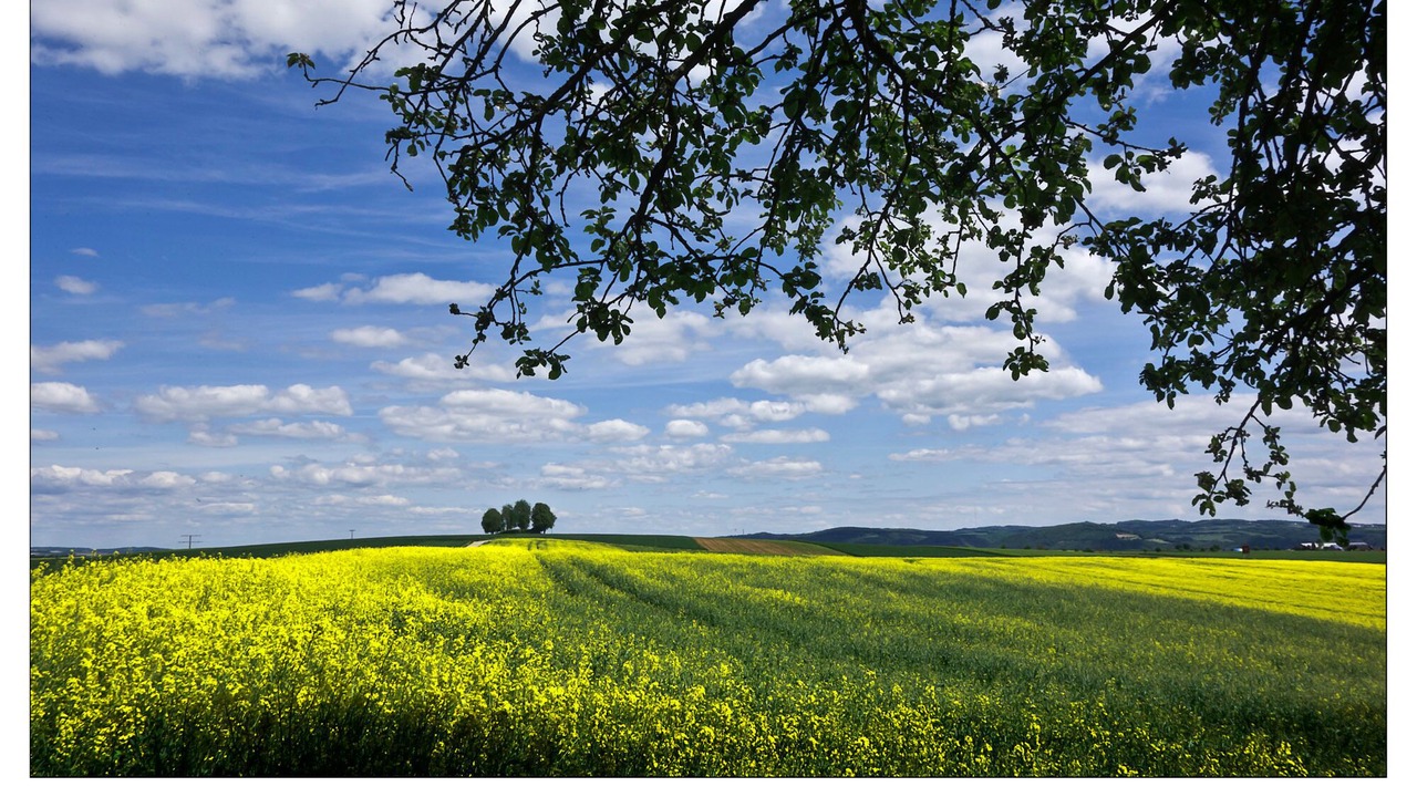 Photo of Others in Wierschem