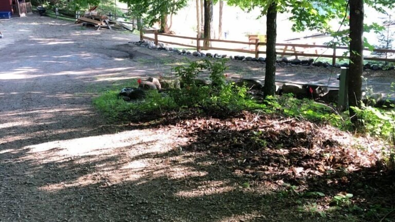 Photo of Others in Lakewood