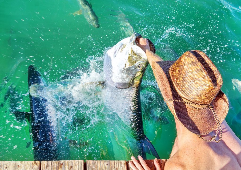 Photo of Outdoor in Tavernier