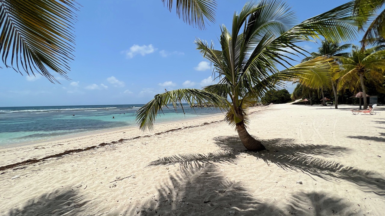 Photo of Others in Grande-Terre