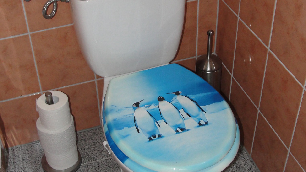 Photo of Bathroom in Lenterode