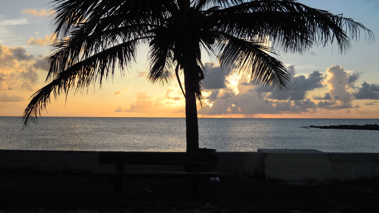 Photo of Others in Nassau