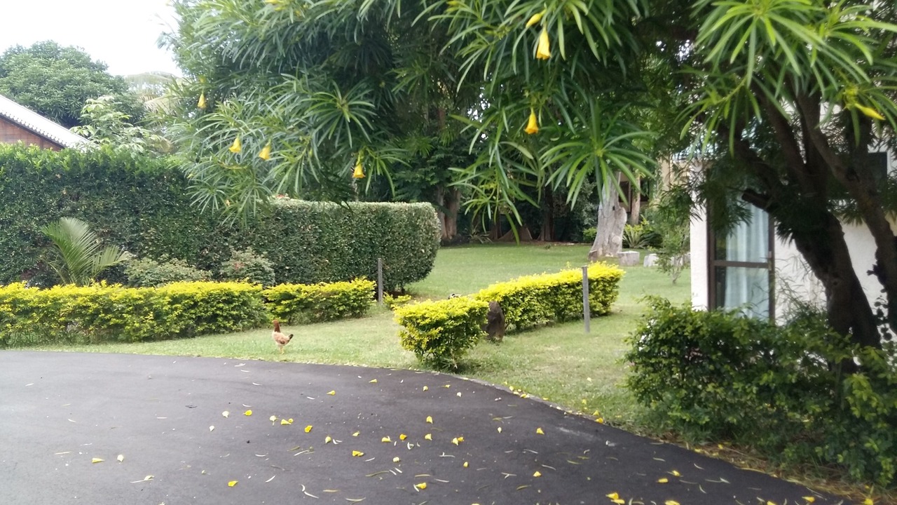 Photo of Outdoor in Cascavelle
