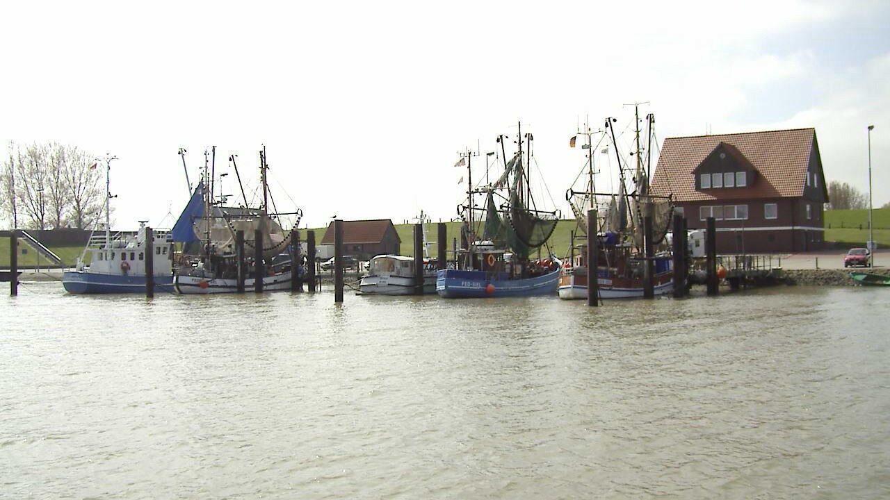 Photo of Others in Nordseebad Burhave