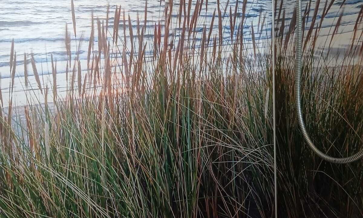 Photo of Others in Nordseebad Burhave