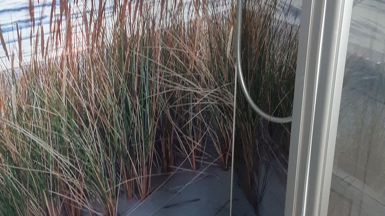 Photo of Bathroom in Nordseebad Burhave