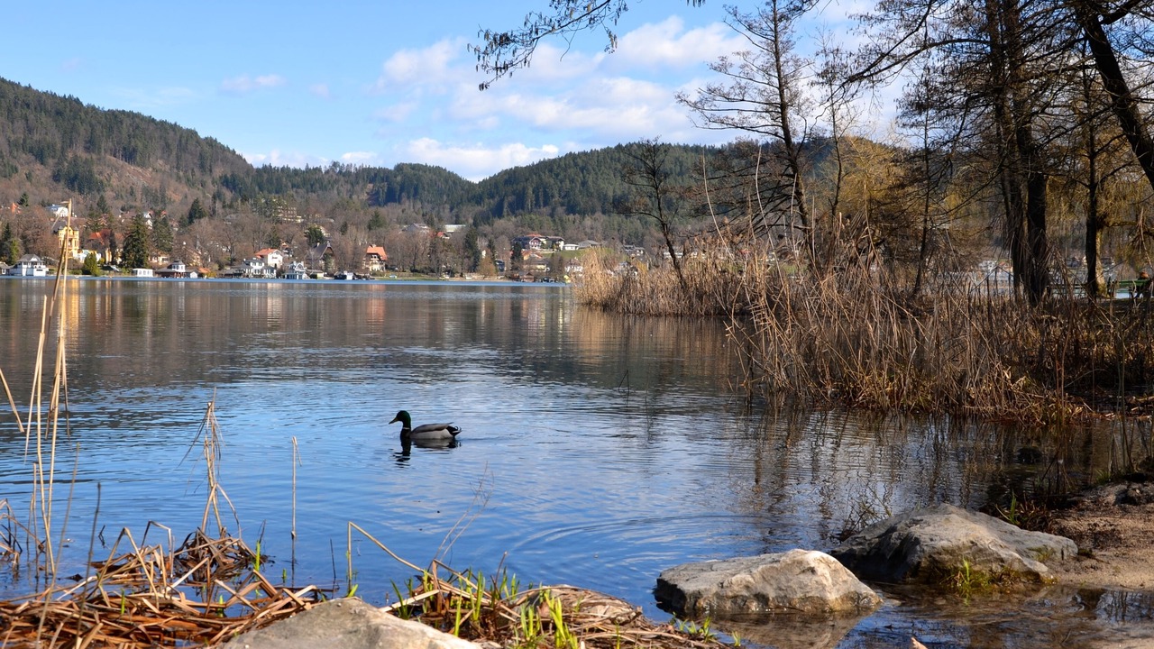 Photo of Outdoor in Poertschach am Woerthersee