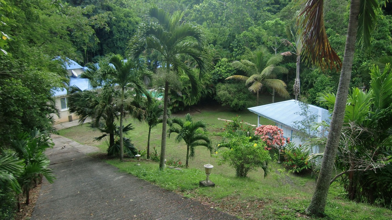 Photo of Outdoor in Le Gosier