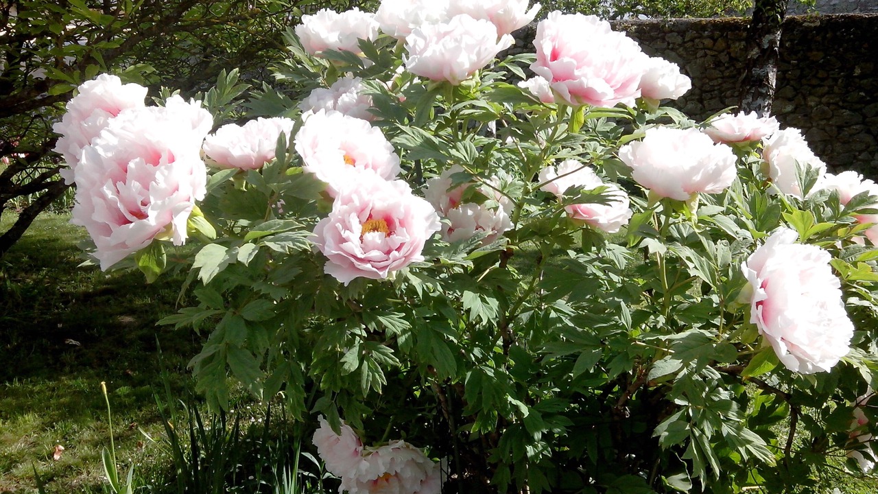 Photo of Outdoor in Onzain