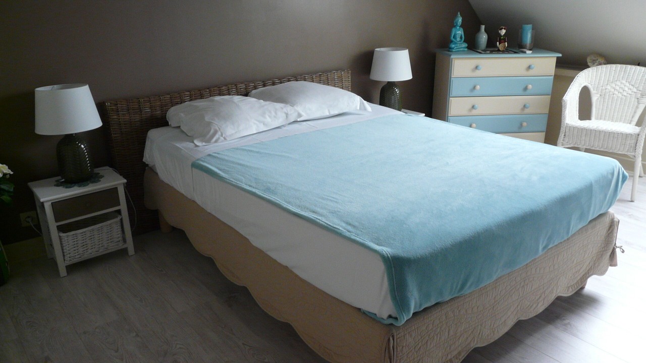 Photo of Bedroom in Onzain