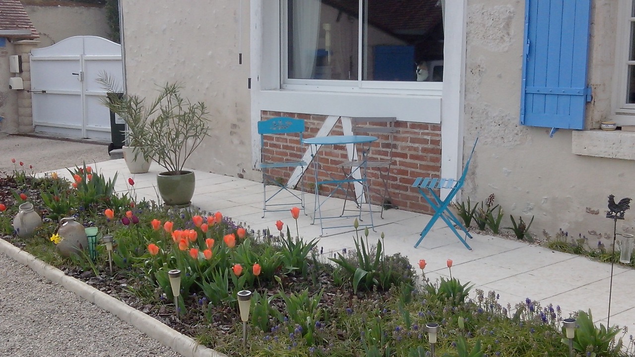 Photo of Outdoor in Onzain