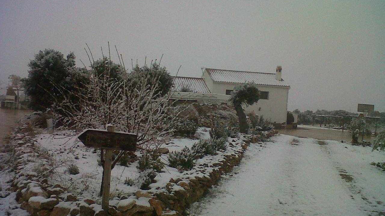 Photo of Others in Baza