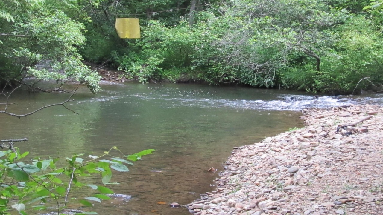 Photo of Others in Hiawassee
