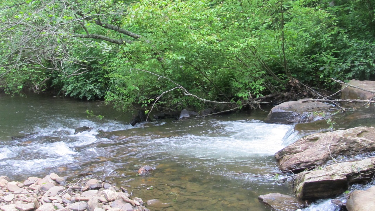 Photo of Others in Hiawassee