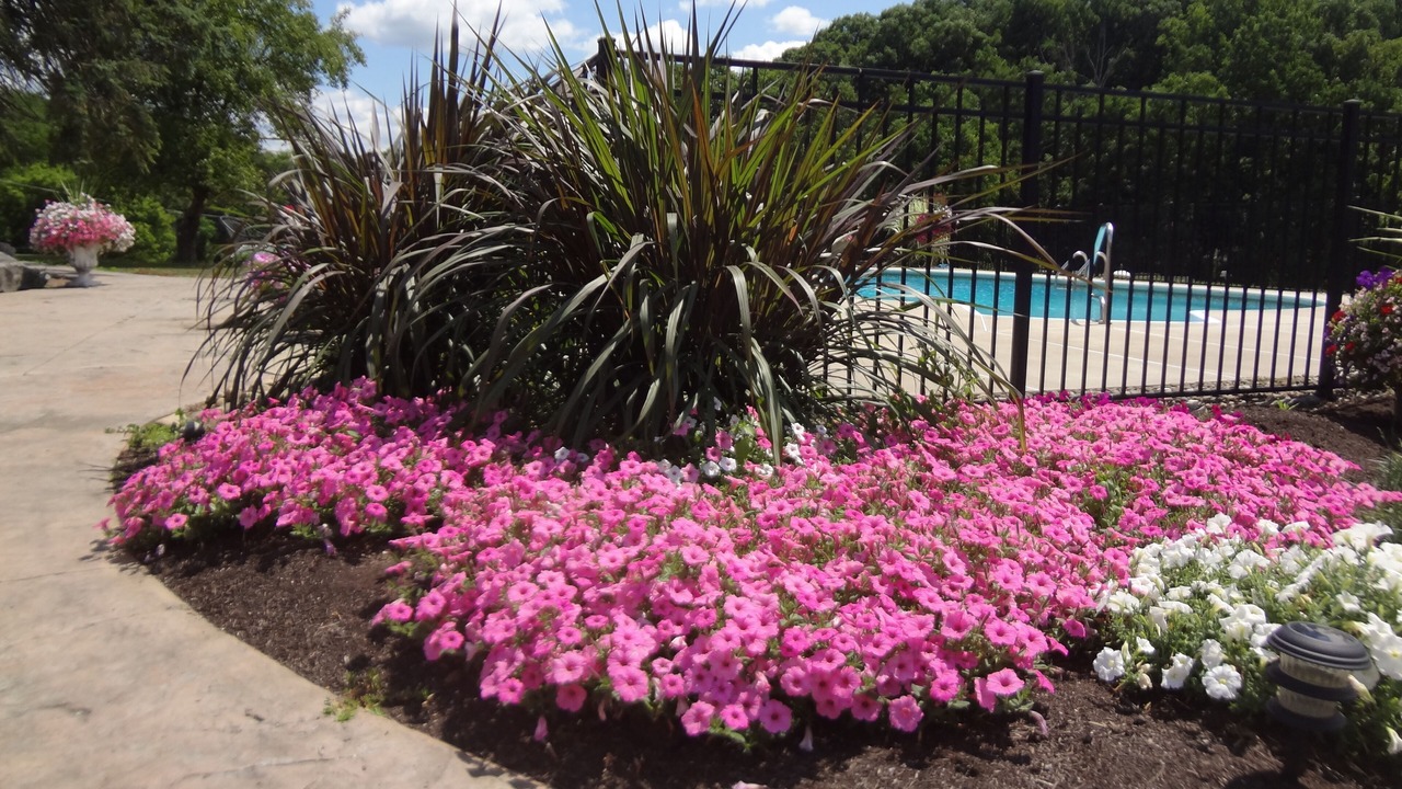 Photo of Outdoor in State College
