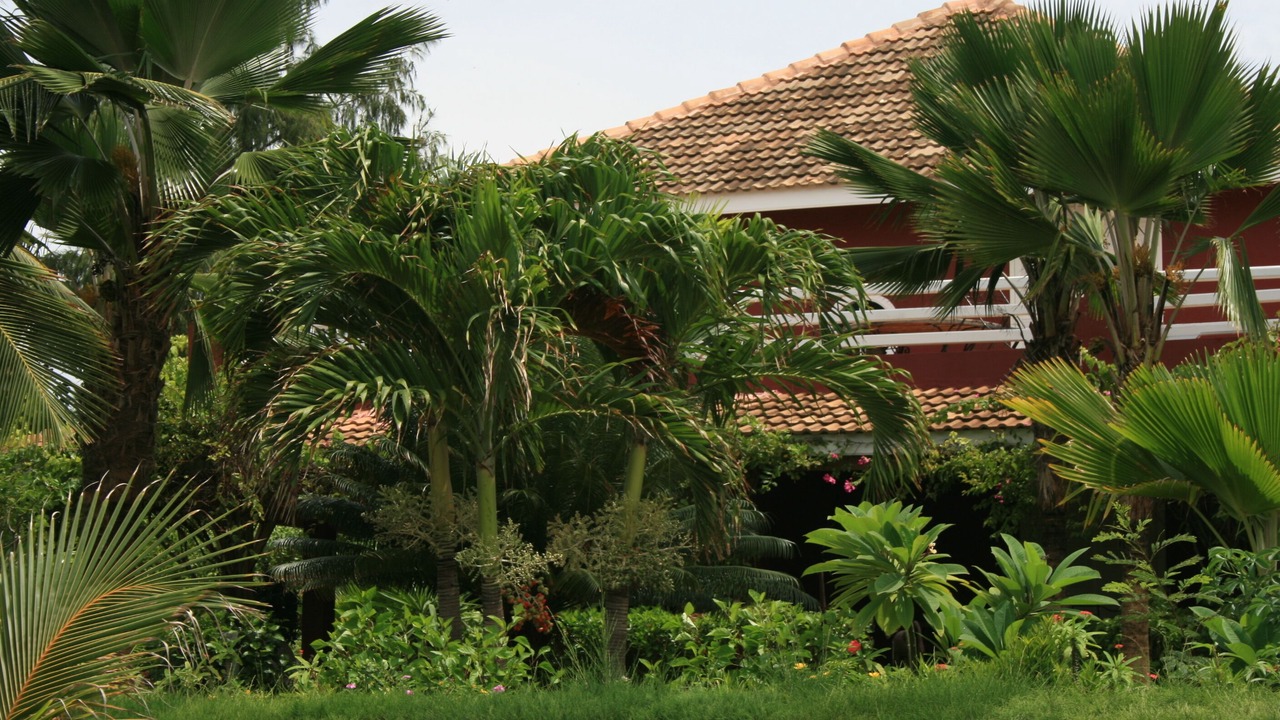 Photo of Outdoor in Mbour